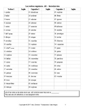 Spanish Regular Present Tense Conjugation Instruction Pack