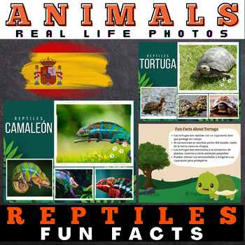 Preview of Spanish Reptiles : Facts with Real Life Photos - Google Slides™ Included