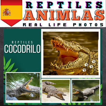 Preview of Spanish Reptiles : Real Life Photos - Google Slides™ Included