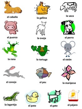 Spanish Vocabulary for Animals by Spanish Weekly | TPT