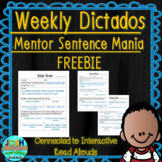 Spanish Weekly Dictado Lesson Plans Unit 1 FREEBIE