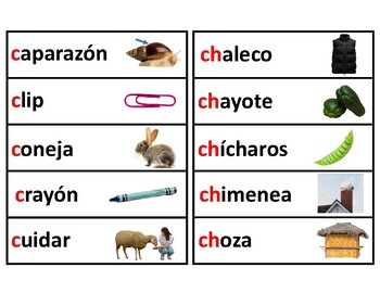 Spanish Word Wall Alphabet with Vocabulary and Real Pictures | TPT