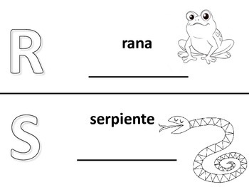 Preview of Spanish alphabet book pages letters r and s, Spanish alfabeto