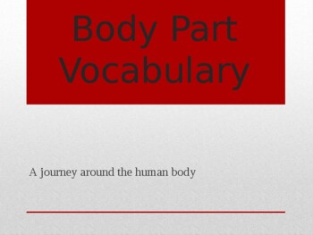 Preview of Body Parts Vocabulary Spanish and English with Pictures PowerPoint