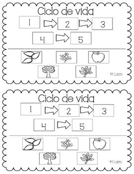 Preview of Spanish science life cycle mini books