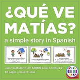 Spanish storybook: ¿Qué ve Matías?