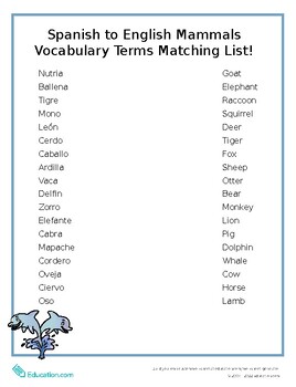 Preview of Spanish to English Mammals Vocabulary Terms Matching List!