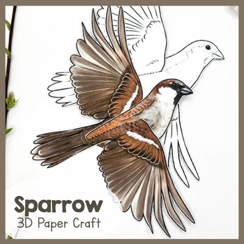 Preview of Sparrow | 3D Paper Bird| Printable Animal Craft | Sparrows