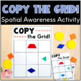 Spatial Awareness Math Activity | Grid Matching (English a