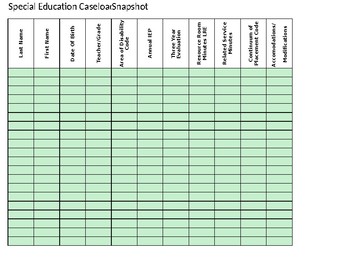 Preview of Special Education Caseload Snapshot Template