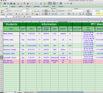 Special Education Caseload Spreadsheet Template by Killeen Co TpT