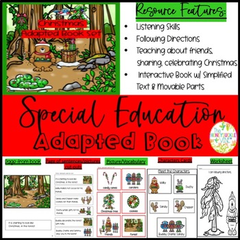 Preview of Christmas Adapted Book Picture Vocabulary Cards and Activity Sheets