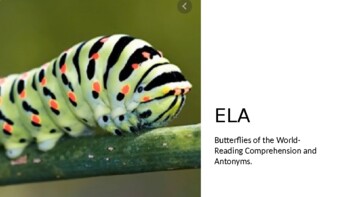 Preview of Special Education ELA lesson on Butterfly lifecycle