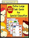 Special Education Visual TASK CARD Assortment READING and 