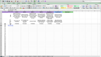 Preview of Special Education IEP Data Collection Excel Sheet - EDITABLE