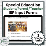 Special Education IEP Input Bundle