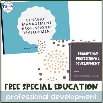Preview of Special Education Paraprofessional / Teacher Assistant Professional Development