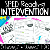 Reading Intervention for Special Education | Phonics, Sigh