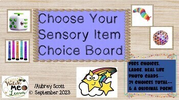 Preview of Special Education- Sensory Choice Board