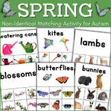 Special Education Spring Activity Non Identical Matching A