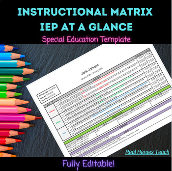 Preview of Special Education Student Instructional Matrix / IEP At a Glance (Editable)