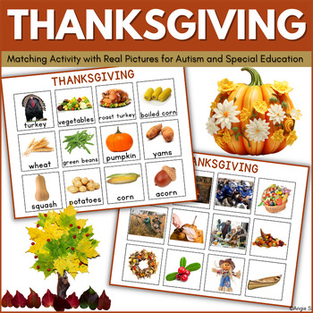 Special Education Thanksgiving Activity Matching Pictures Autism Speech ...