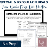 Special & Irregular Plural Nouns Grammar Video Lessons and