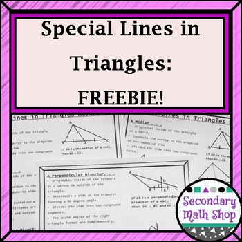 Preview of Special Lines In Triangles Short Review/Practice Freebie!