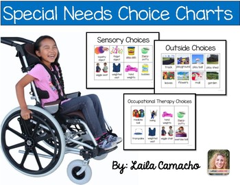 Preview of Special Needs Choice Charts