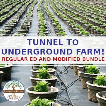 Preview of Air-raid Tunnel Underground Farm- Worksheets & Homework Regular/ Special Ed