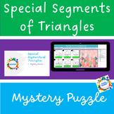Special Segments of Triangles - Self Checking Mystery Puzzle