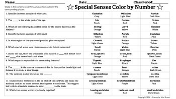Special Senses Color by Number by Science by Mrs Brown | TPT