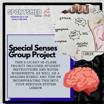 Preview of Special Senses Group Project (Nervous System, Anatomy, Essentials to Healthcare)