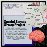 Special Senses Group Project (Nervous System, Anatomy, Ess