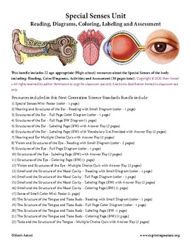 Preview of Special Senses Unit – Reading, Diagrams, Worksheets and Assessment