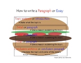 Special education: paragraph or essay burger visual