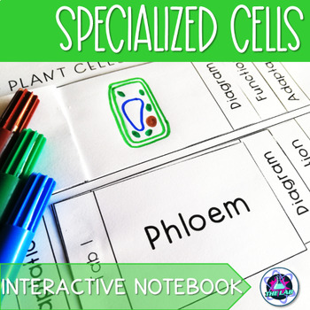 Preview of Specialized Cells Interactive Notebook Activity