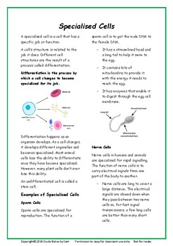 Preview of Specialised Cells, Microscopes, Mitosis & More - Cell Biology Revision Sheets
