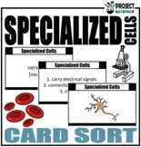 Specialized Cells Card Sort