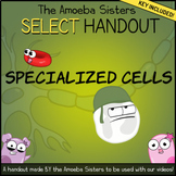 Specialized Cells- SELECT Handout + Answer Key by The Amoe