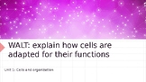 Specialized cells in animals/humans and plants