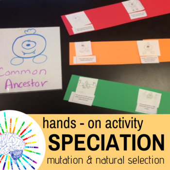 Preview of Speciation Activity: Students model Mutation, Natural Selection, and Evolution