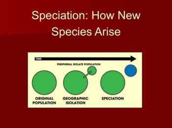 Preview of Speciation - Intro to Natural Selection