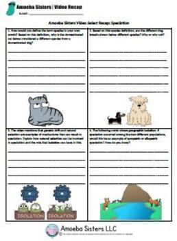 Speciation- SELECT Recap Handout + Answer Key by Amoeba Sisters | TpT