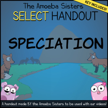 Preview of Speciation- SELECT Recap Handout + Answer Key by Amoeba Sisters