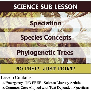 Preview of Speciation - Species Concept & Phylogenetic Tree - Homework or No Prep Sub Plan