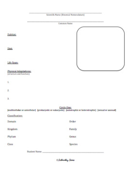 Taxonomy Worksheets + Projects BUNDLE Classification of Organisms