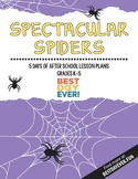 Spectacular Spiders After School Activities