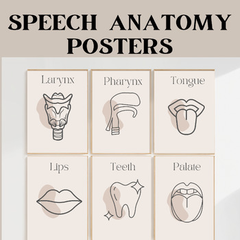 Preview of Speech Anatomy Posters for Speech Therapy Room Decor