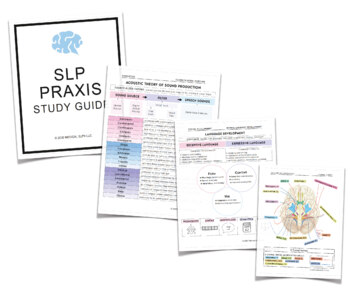 Preview of Speech-Language Pathology (SLP) Praxis Study Guide